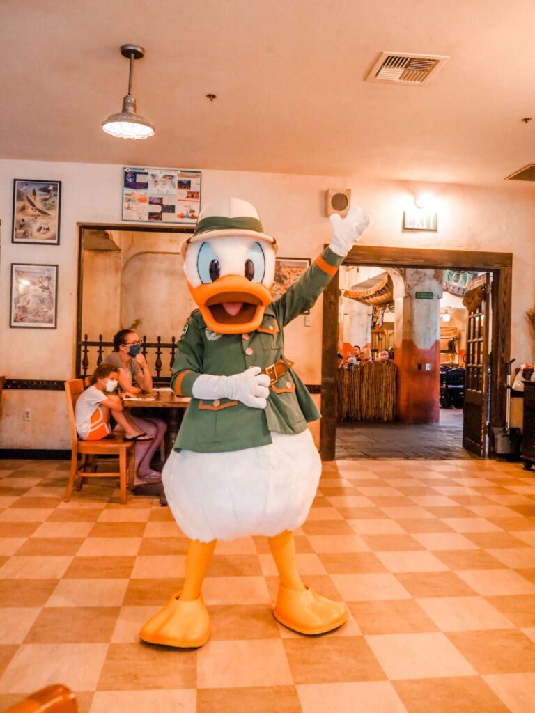 Tusker House Characters- Donald Duck