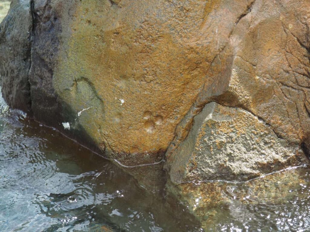 Hidden Mickey Gaston's Fountain Magic Kingdom