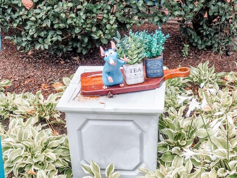 Remy Game at Food and wine