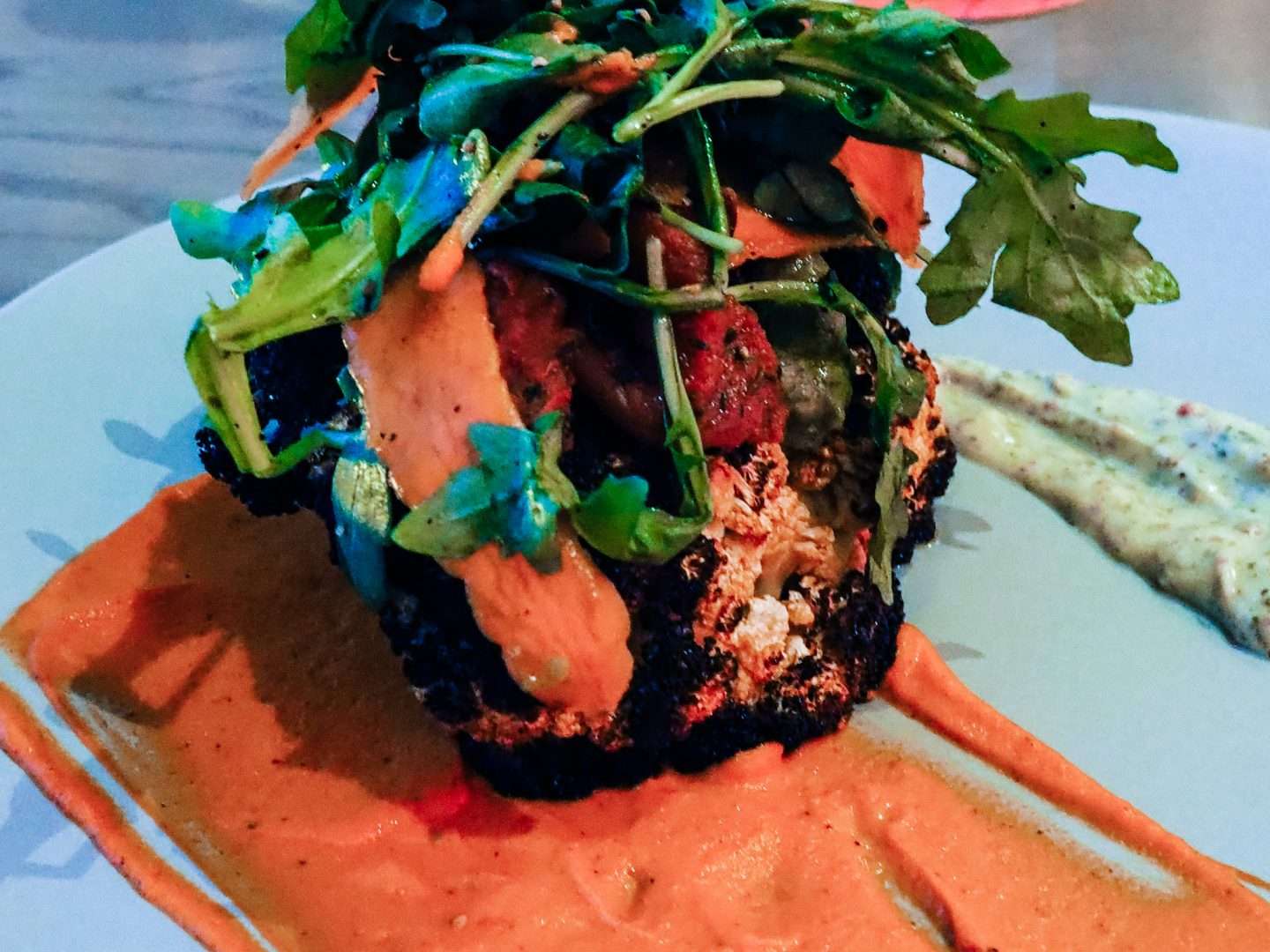 Dinner at Disney World Toledo