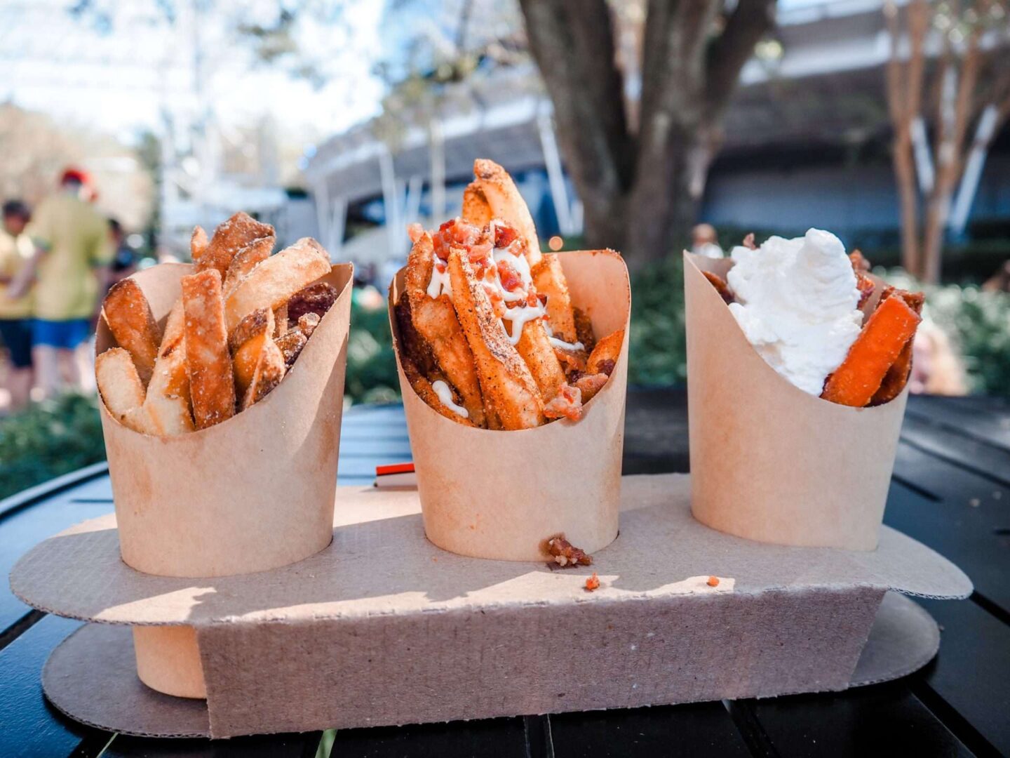 Fries at EPCOT Food and wine festival Disney