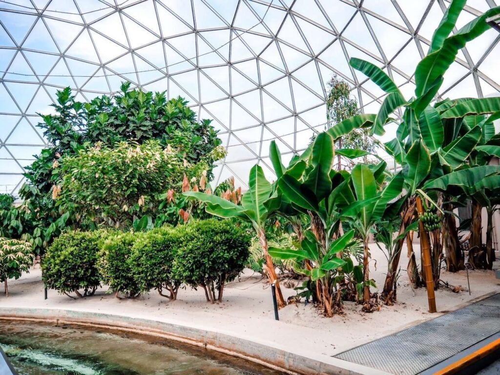 Living with the Land Epcot Ride