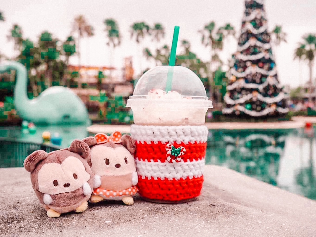 Mickey and Minnie Coffee Christmas Hollywood Studios