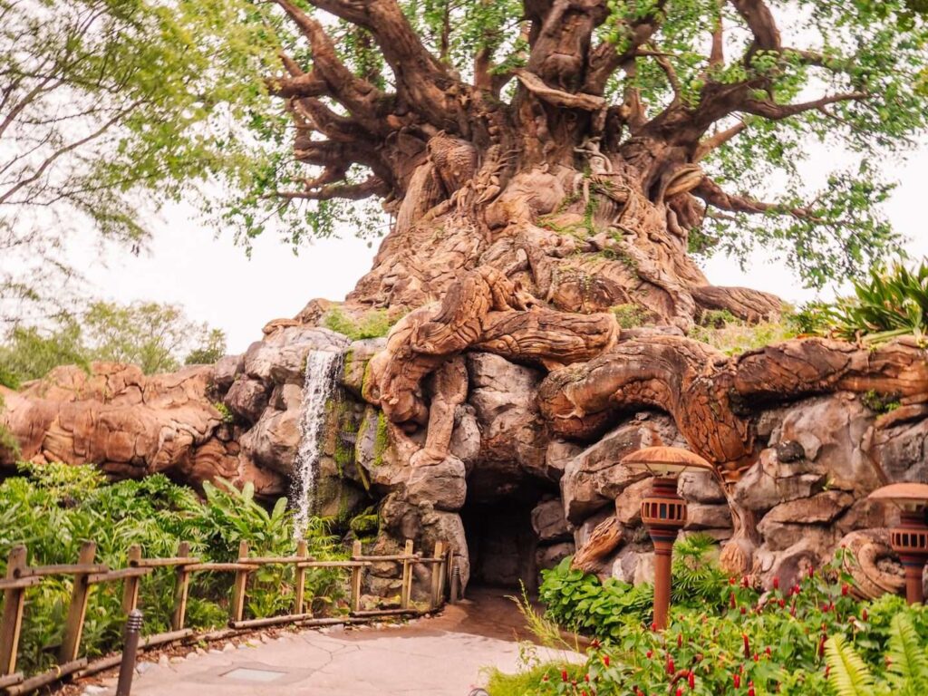 Animal Kingdom Tree of Life