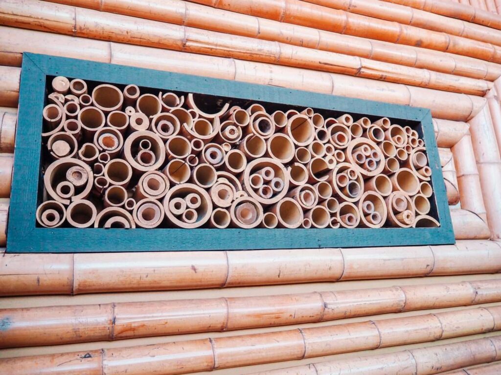 Hidden Mickey at Disney Polynesian Resort