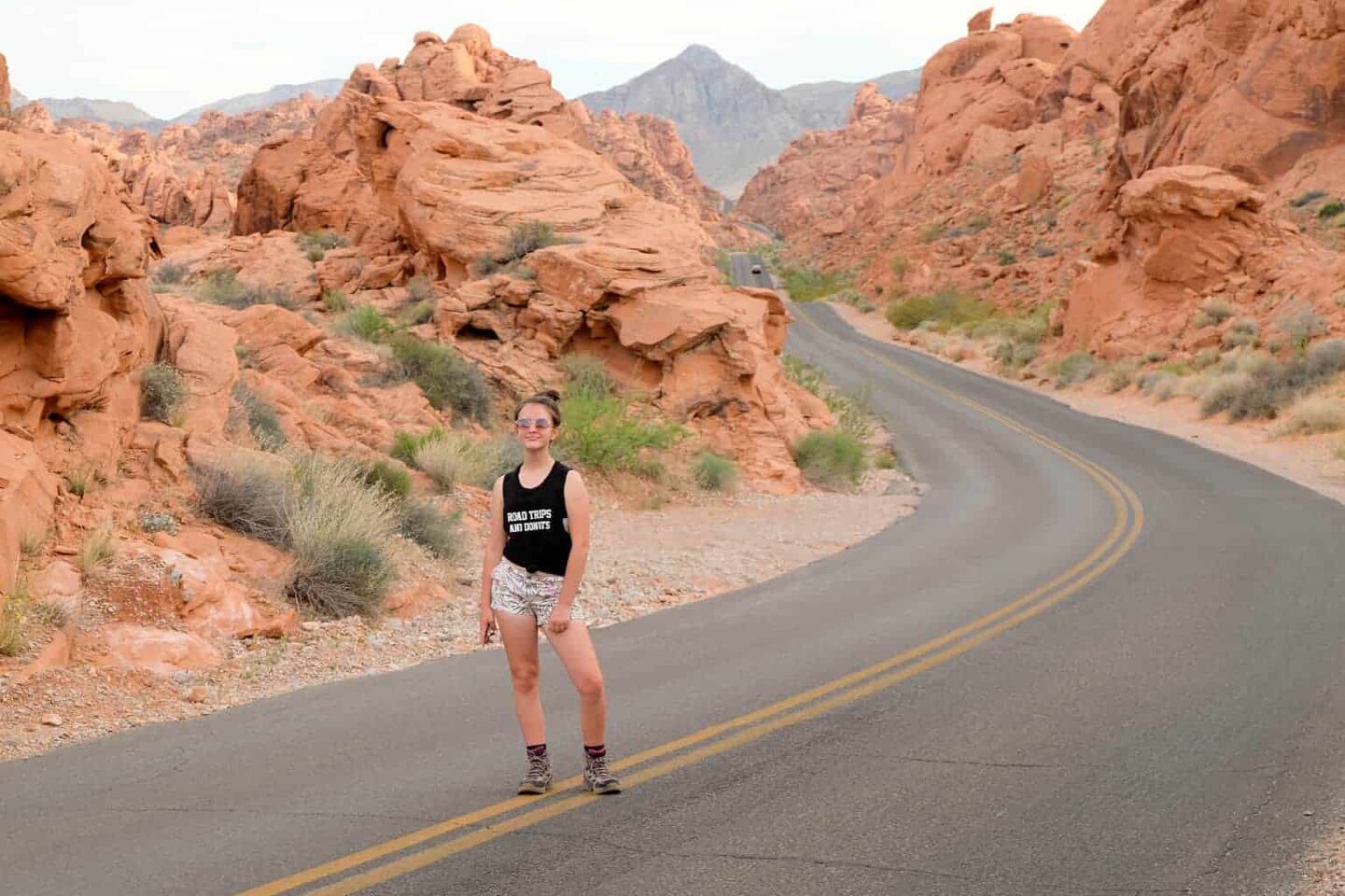 Fire State Park Nevada Road Trip from Las Vegas to Disneyland