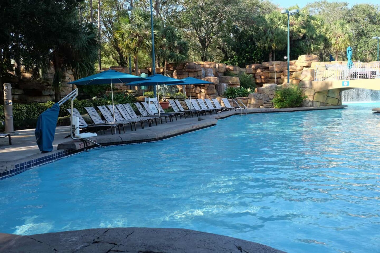 Disney Dolphin Pool