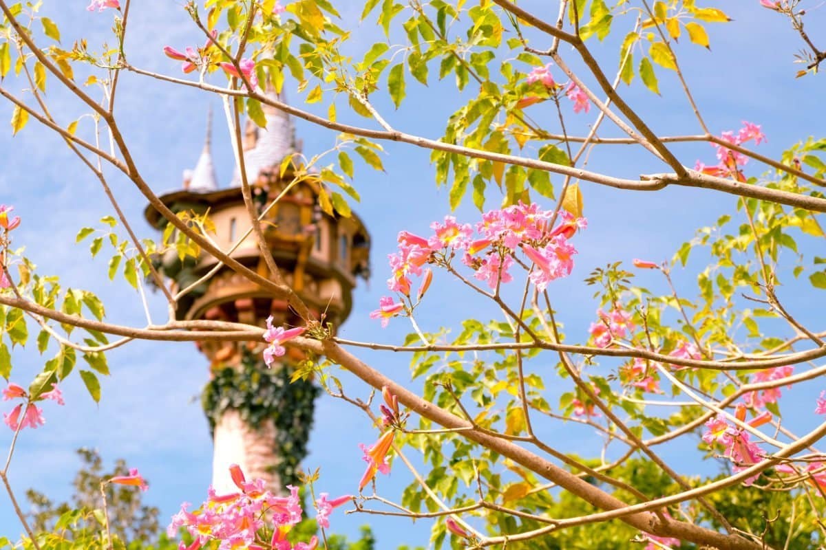 Tower Magic Kingdom Rapunzel Disney World