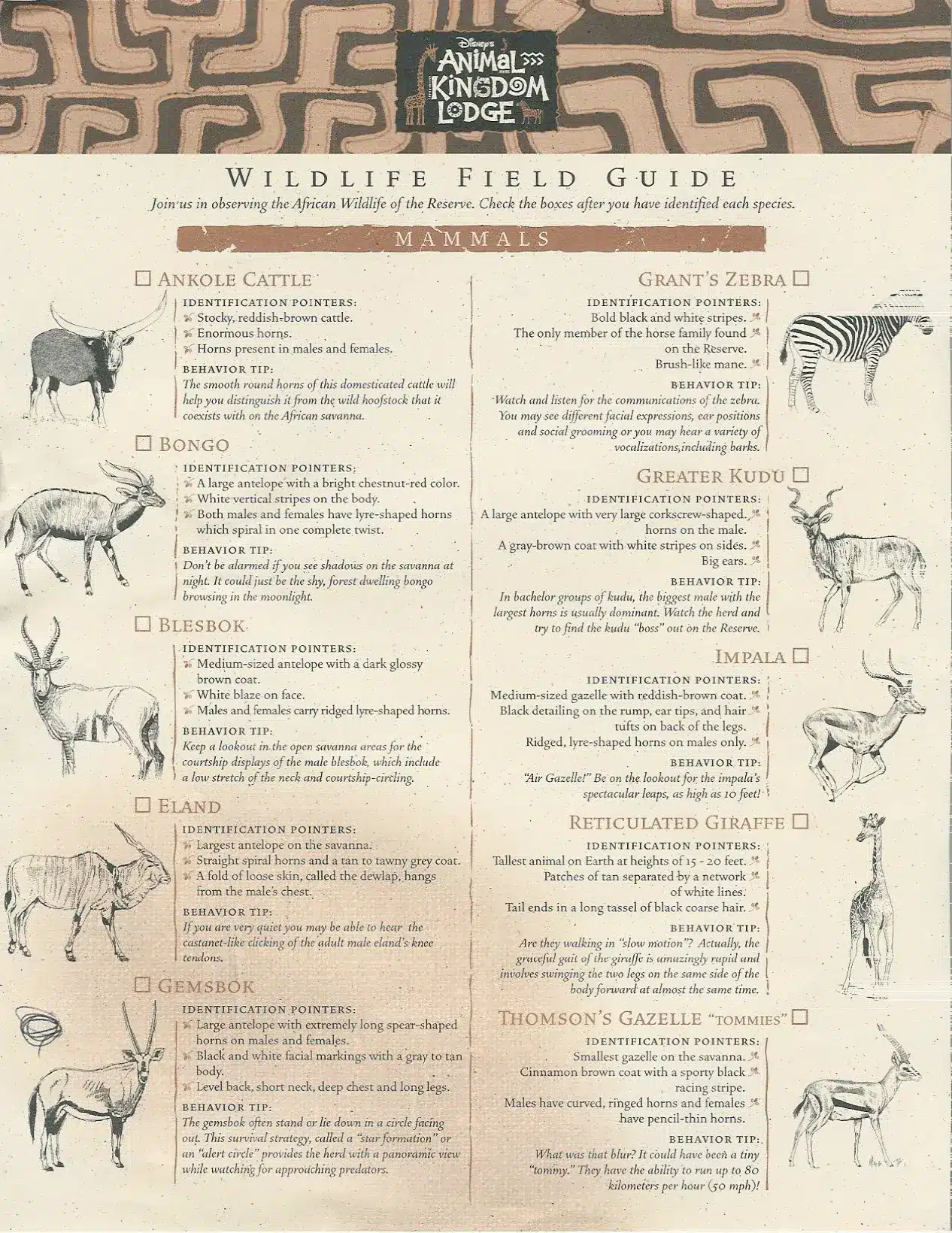 Animal Kingdom Lodge Wildlife guide 1