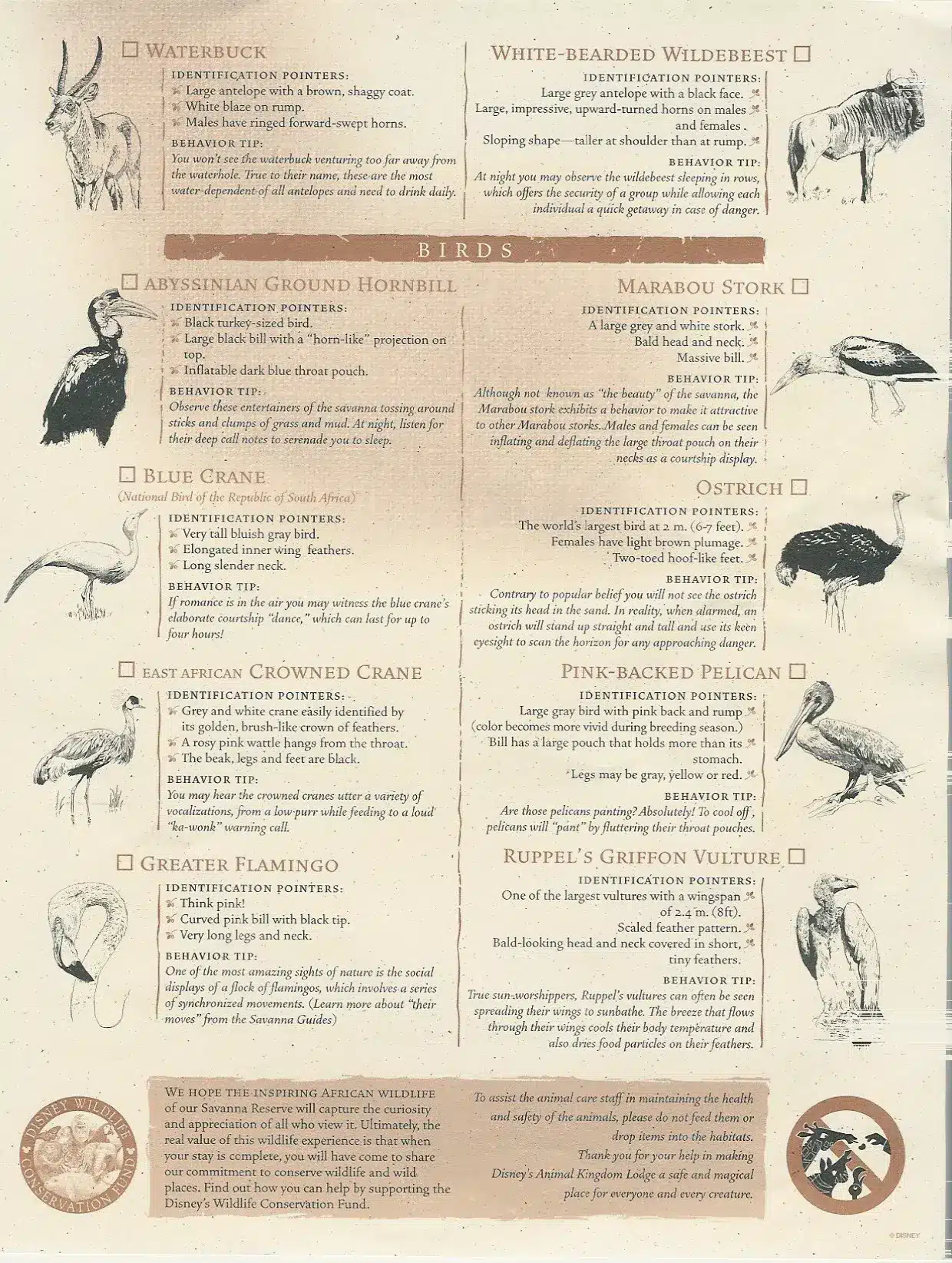 Animal Kingdom Lodge Wildlife guide 2