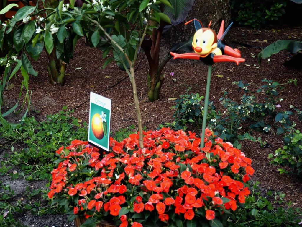 Spike the Bee flower and garden epcot game