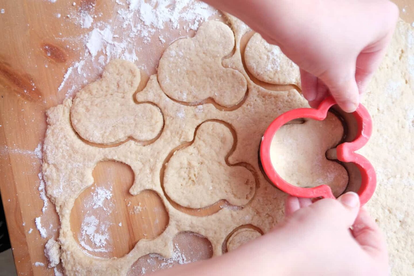 Disney Beignet Recipe Princess Tiana Cookbook