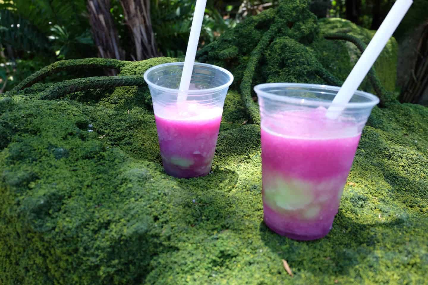 Night Blossom Drinks at Animal Kingdom Snacks