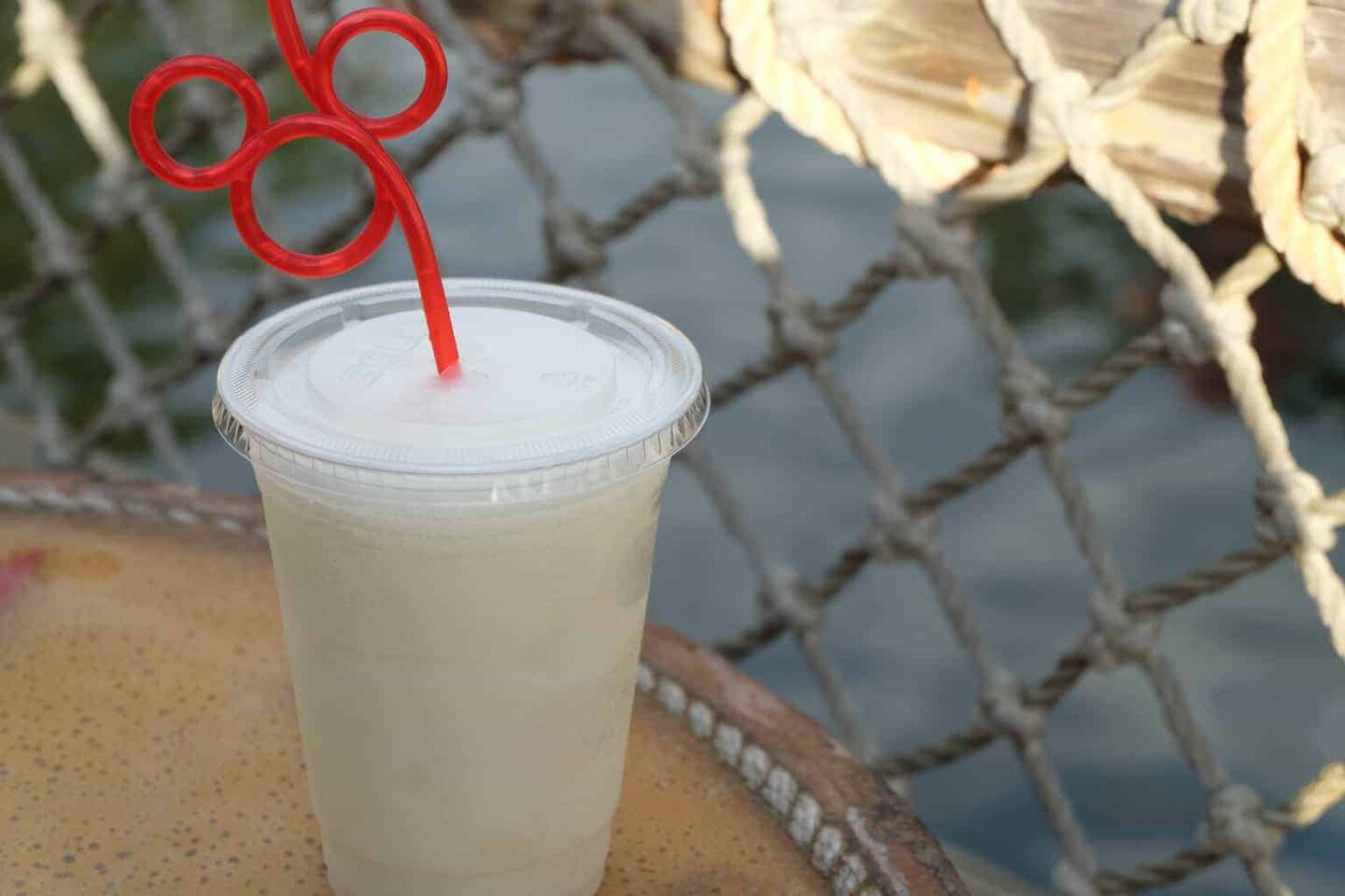 Drinks at Disney World Slushy