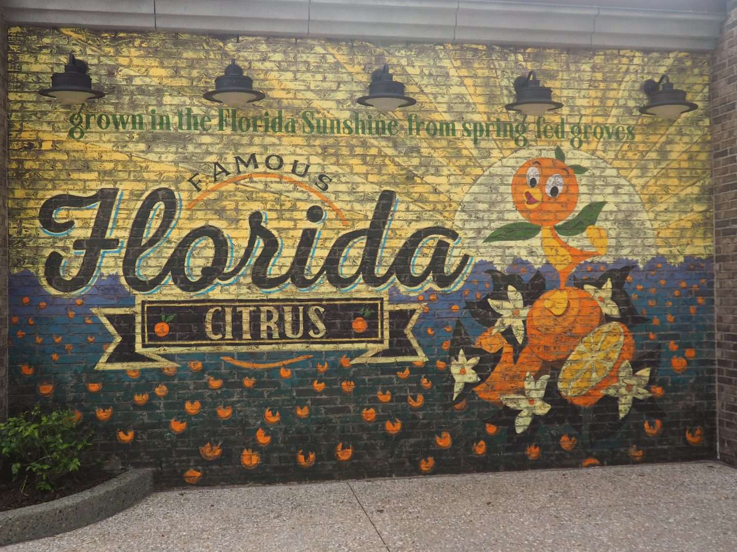 Disney World Disney Springs Orange Bird Mural