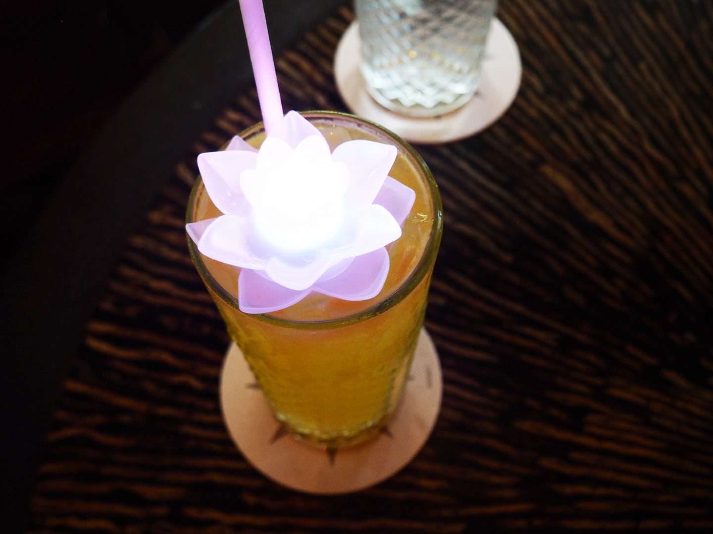 Nomad Lounge Drinks at Animal Kingdom