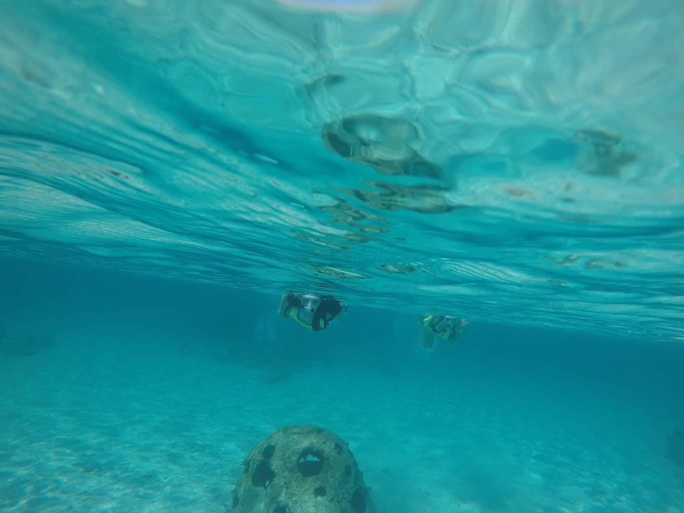 Disney Aulani Resort Scuba Diving Recreation