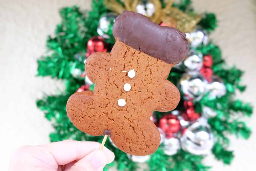 Christmas Snacks at Disney world