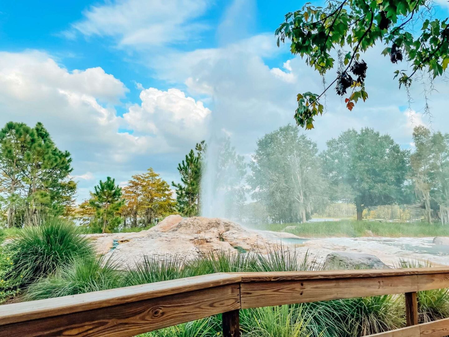 Wilderness Lodge Geyser