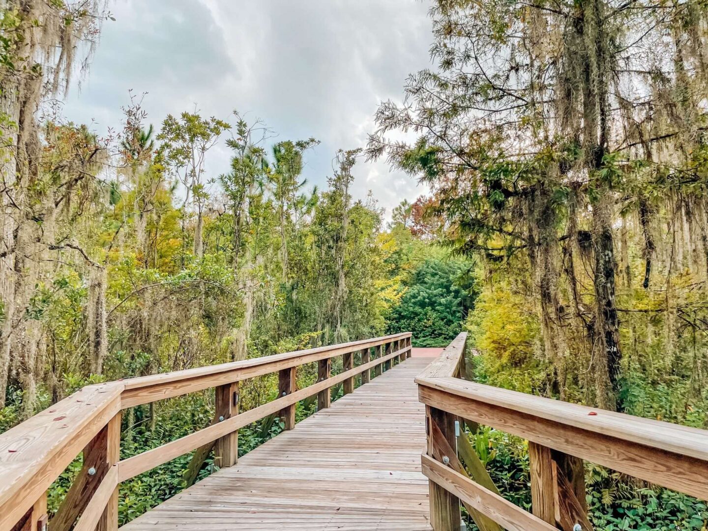 Wilderness Lodge Trails at Disney