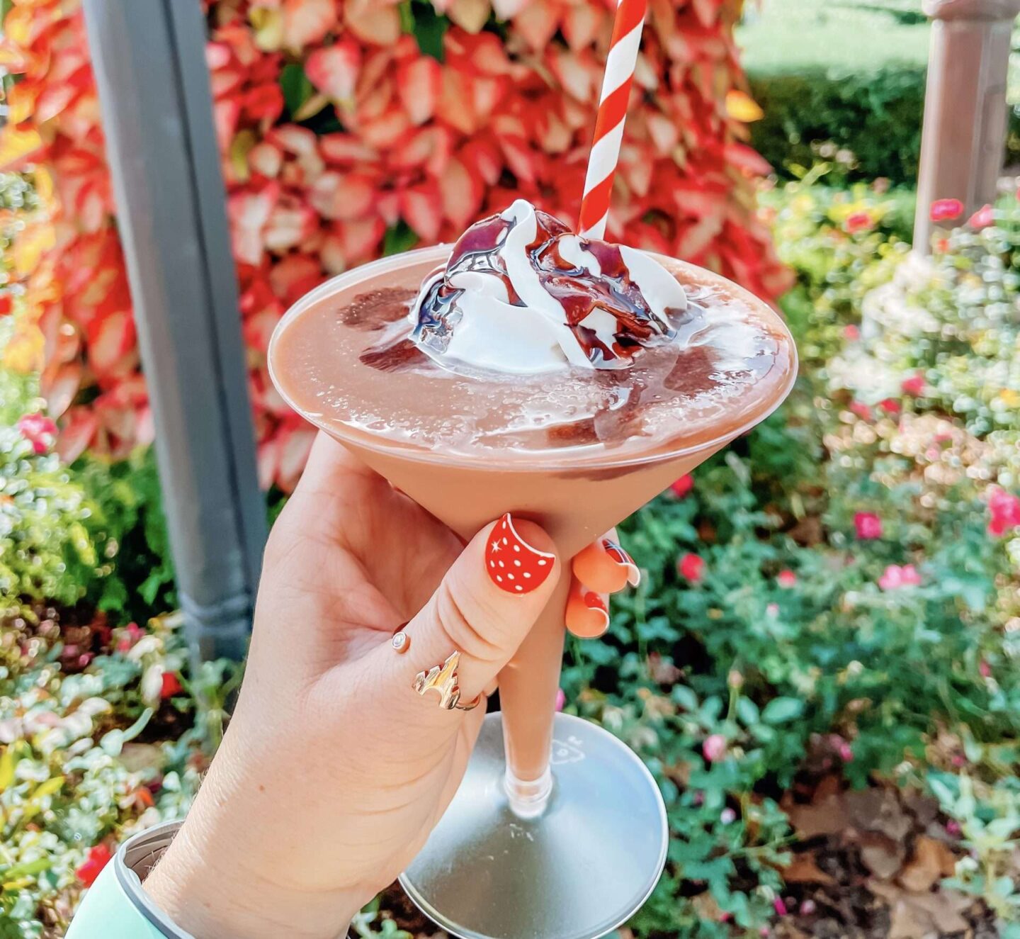 Chocolate Martini in Epcot Festival of Holidays
