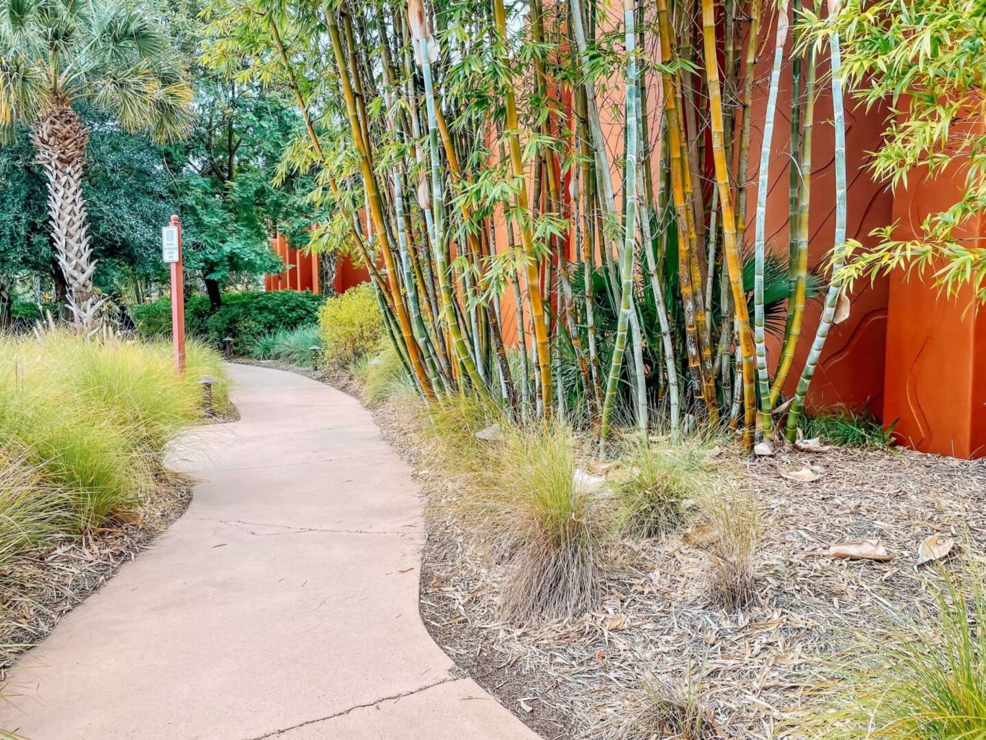 disney world walking path at animal kingdom lodge