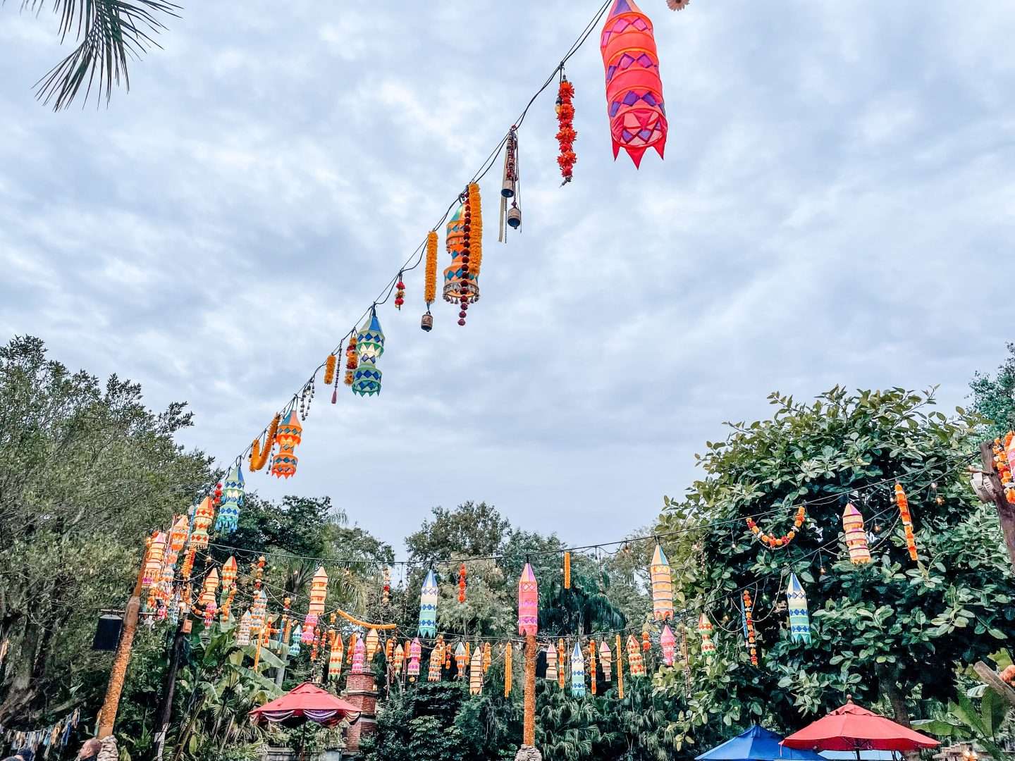 Holiday decorations at Animal Kingdom