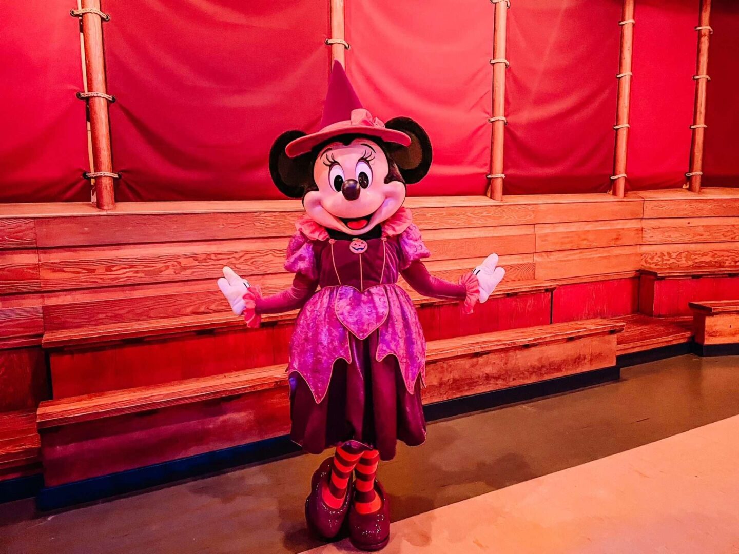 Minnie Mouse Halloween Costume Disney World