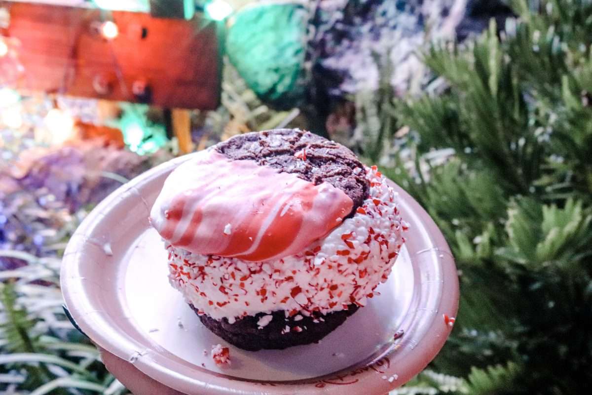 Christmas Snacks at Animal Kingdom