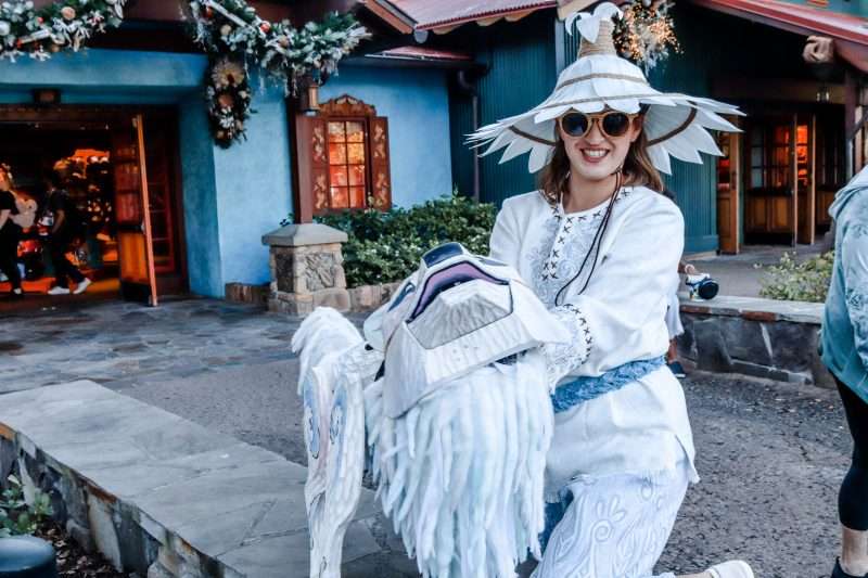 Christmas at Animal Kingdom Park