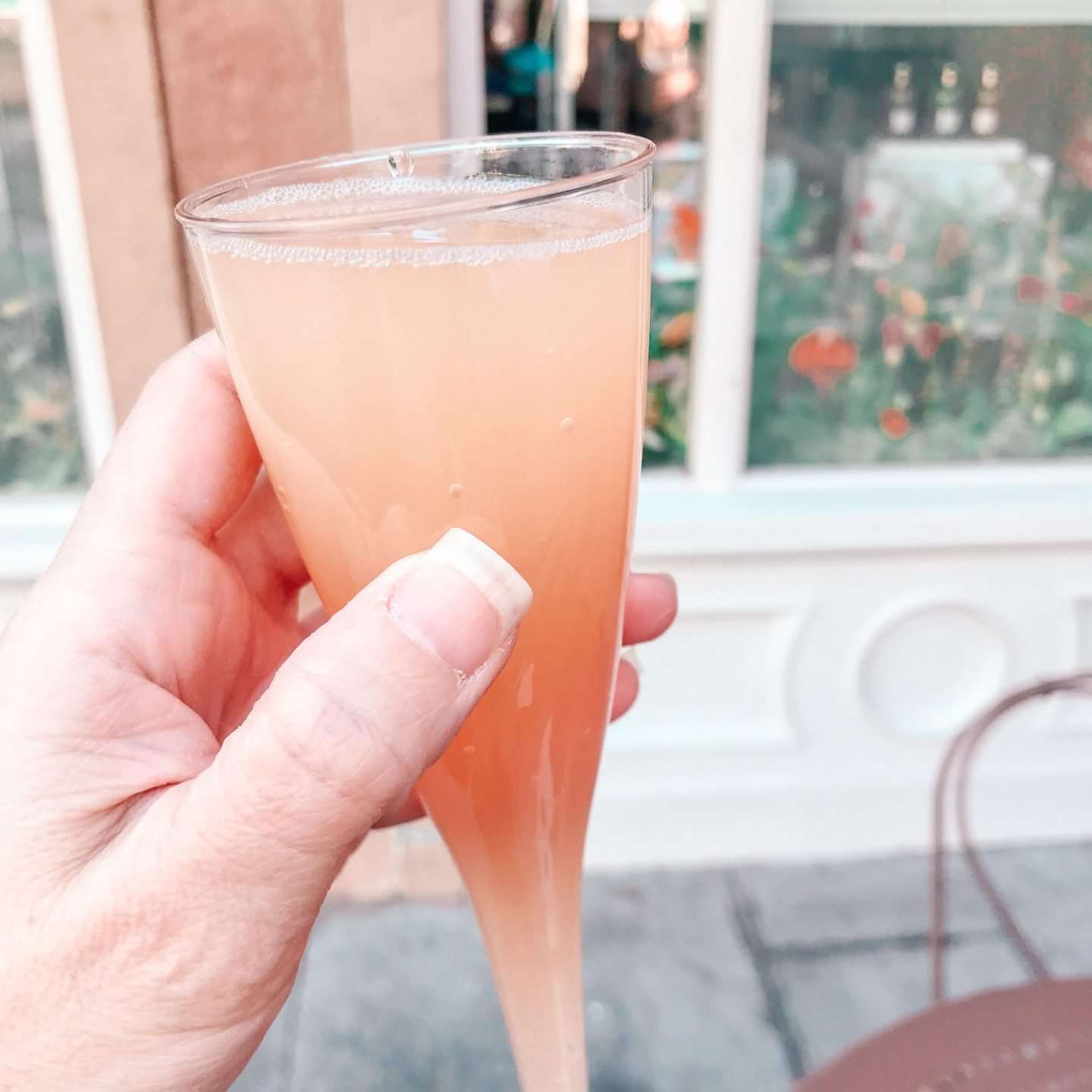 Drinks at Disney World Snacks