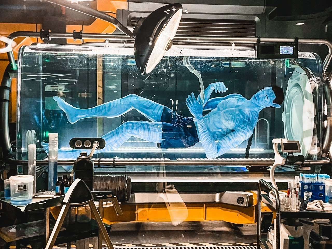 Pandora Avatar Flight of Passage Ride at Animal Kingdom