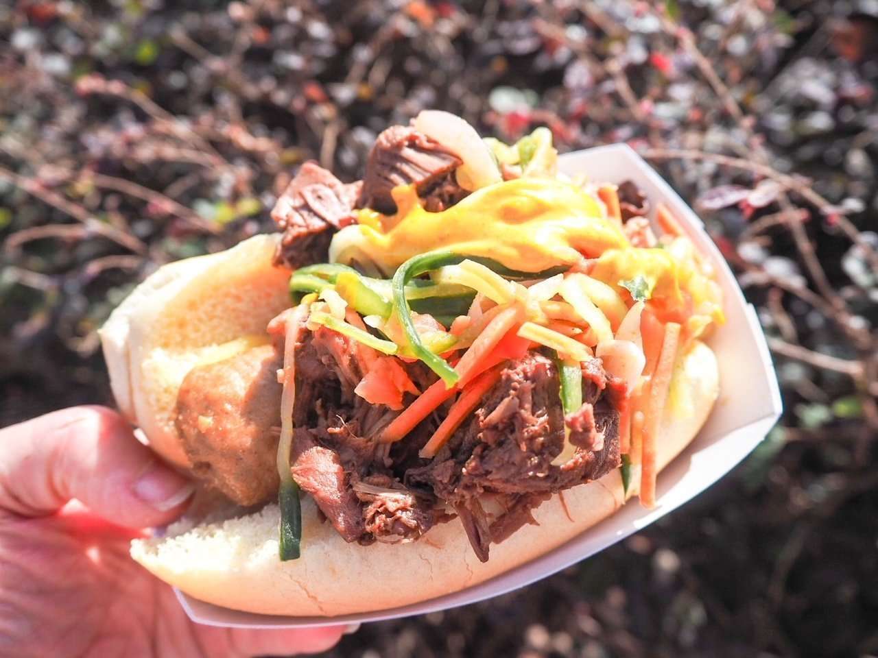 Beef Tips Africa Flower and Garden