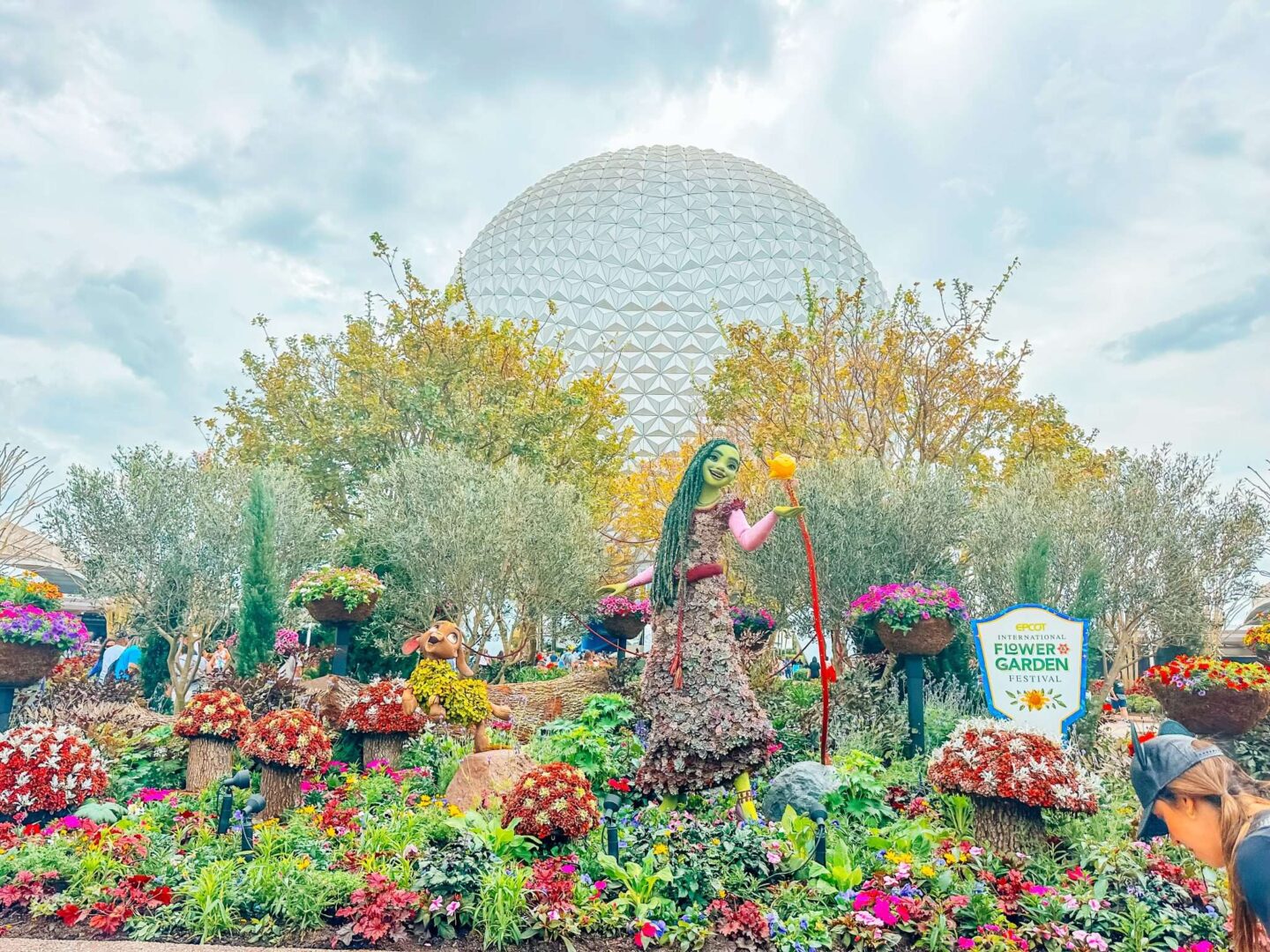 Flower and Garden Wish Epcot Topiary with Star and Valentino