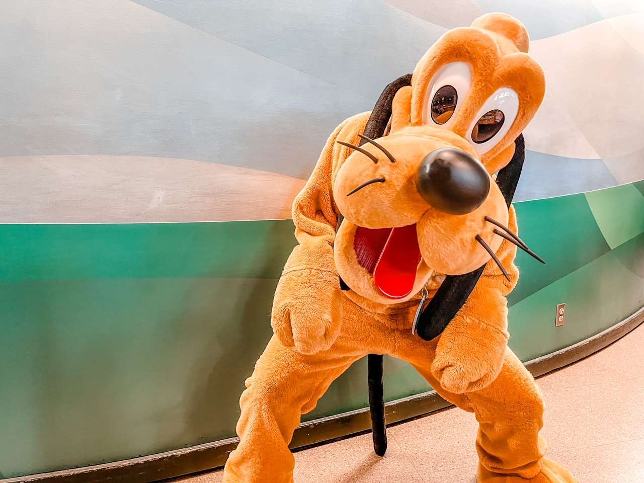 Garden Grill Pluto at Disney World EPCOT Park