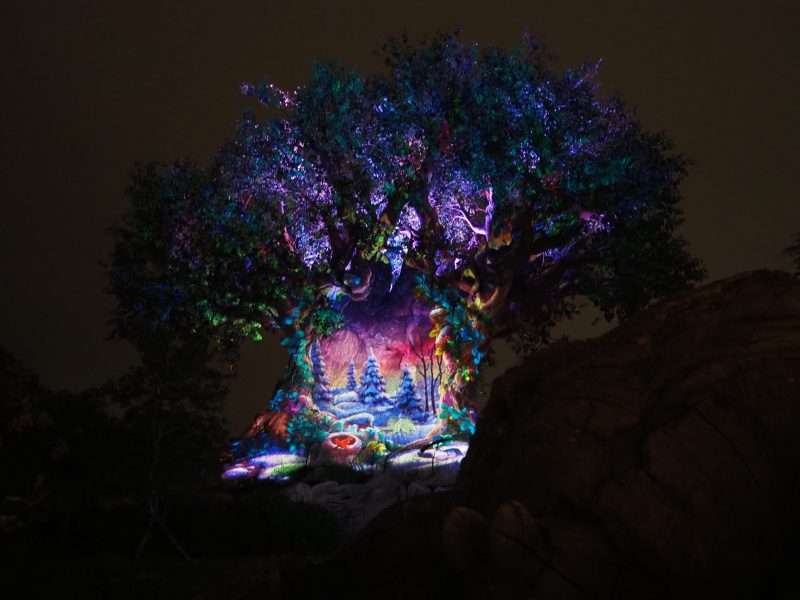 Tree of Life Wintry edition show at Animal Kingdom Holidays