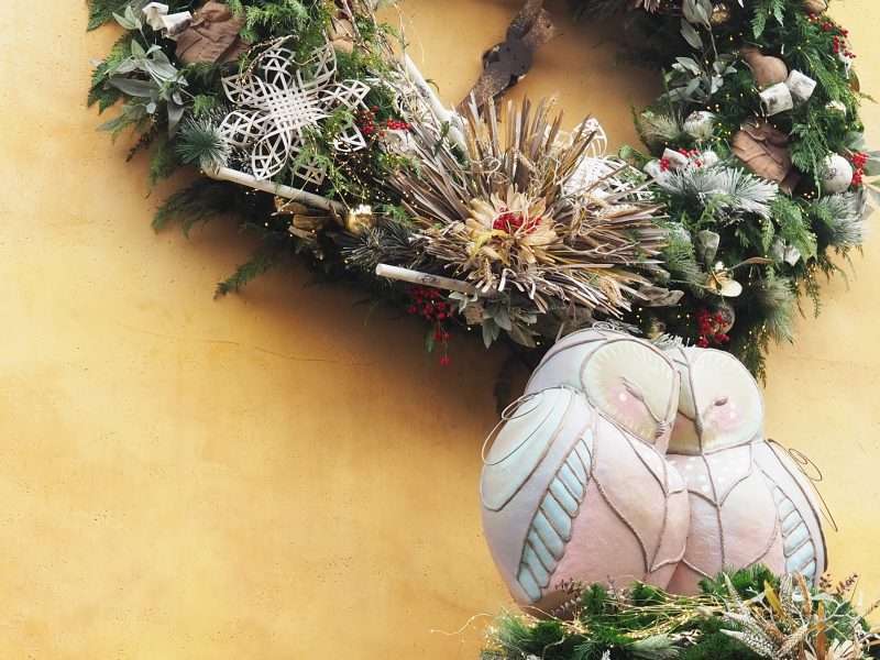 Pair of Birds Christmas Decorations at Animal Kingdom