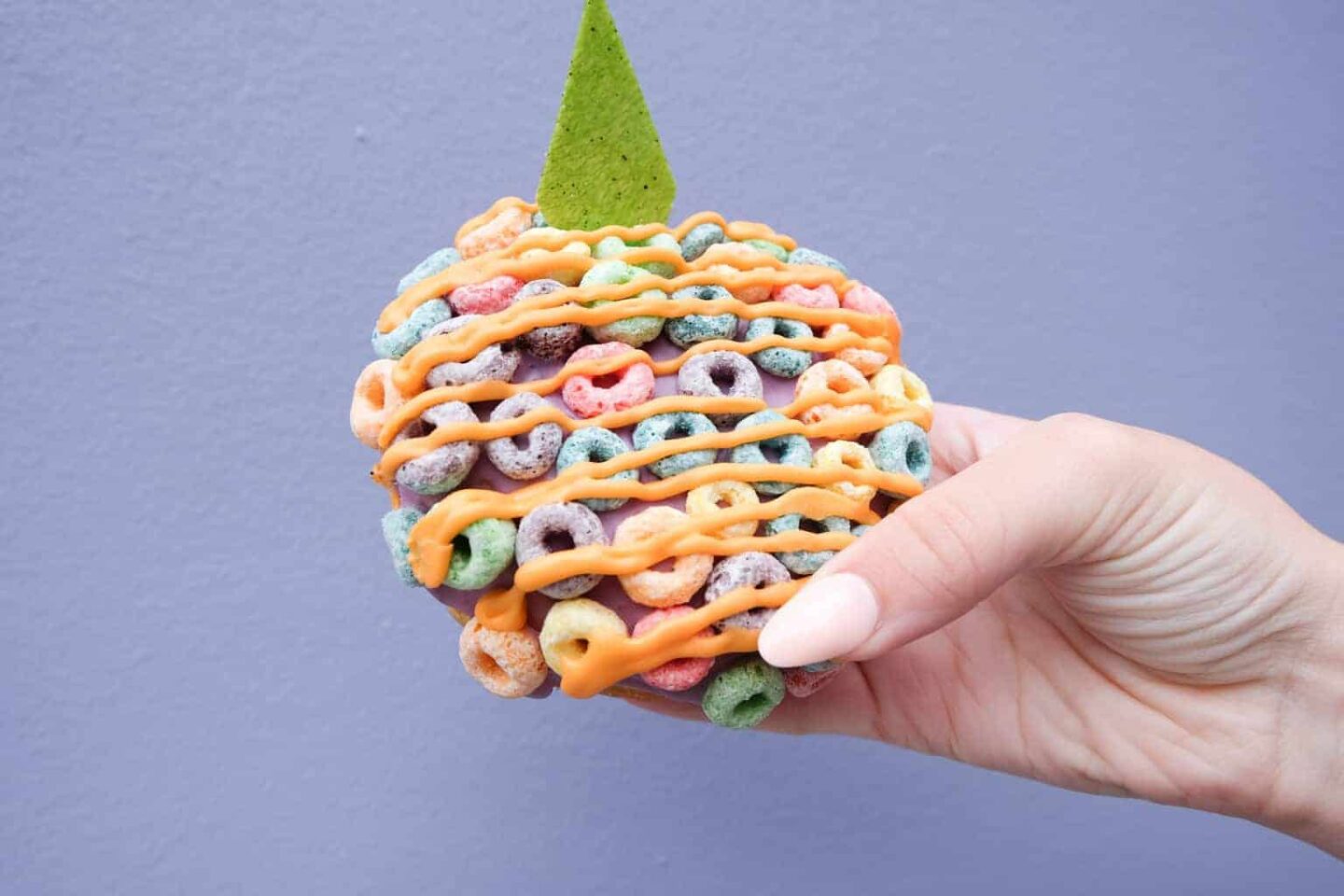 Disneyland Snacks and Treats Fruit Loops