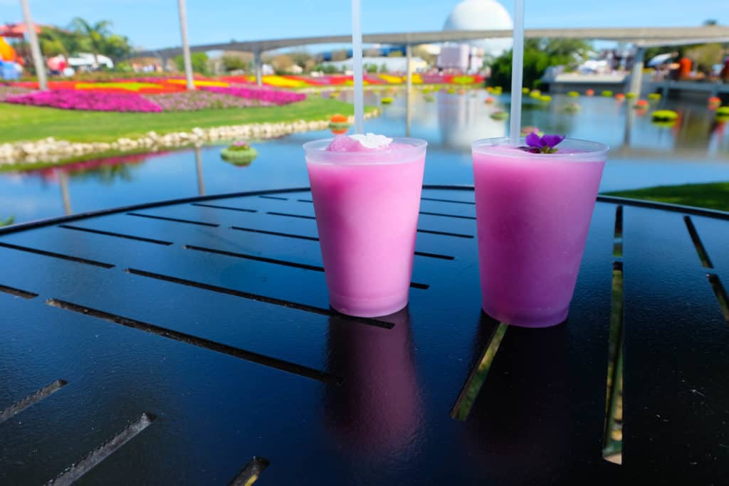 Drinks Violet Lemonade Flower and Garden