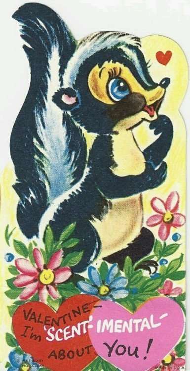 Valentines Day Cards Bambi Skunk