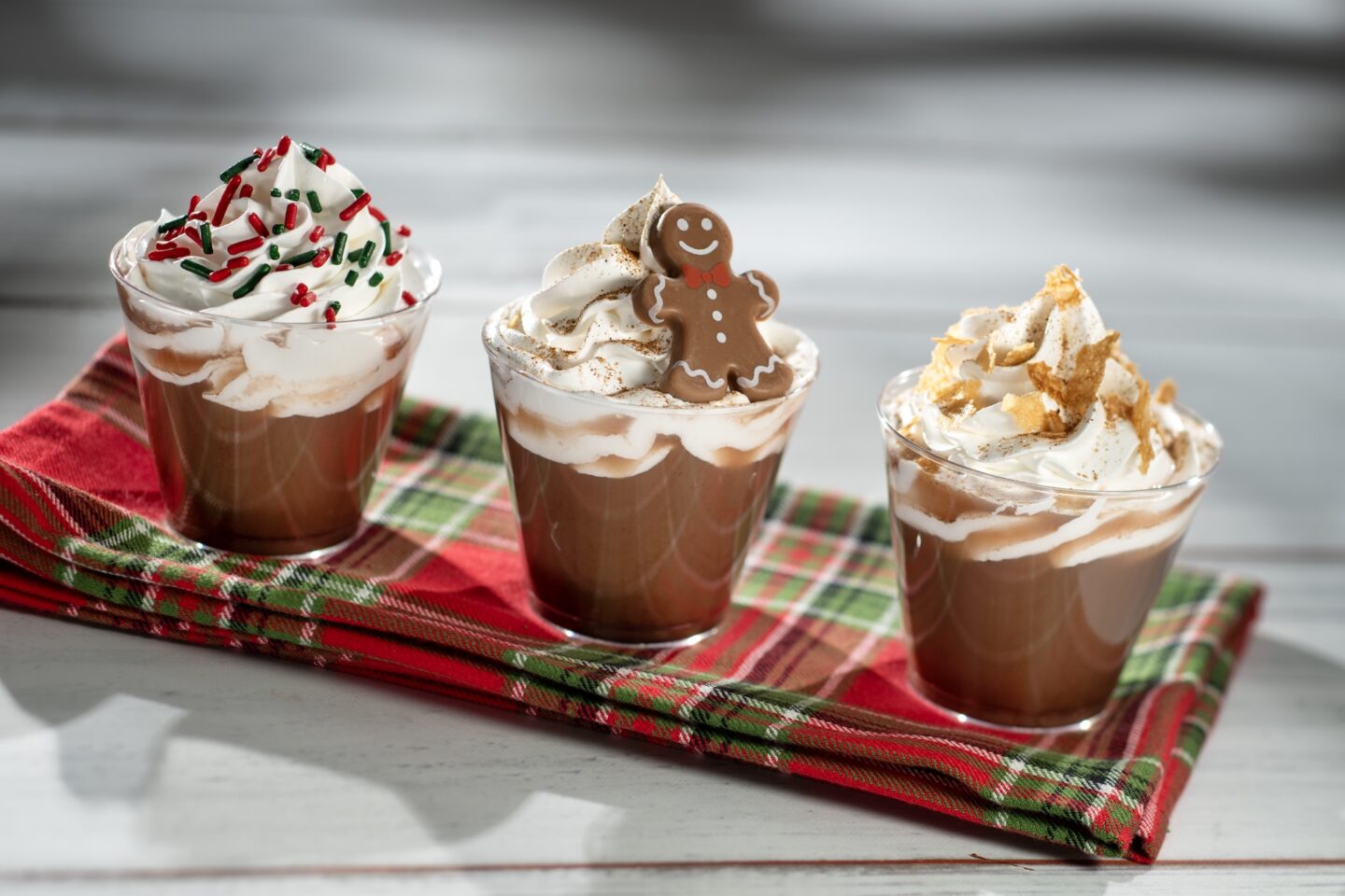Hot cocoa Flight Festival of Holidays