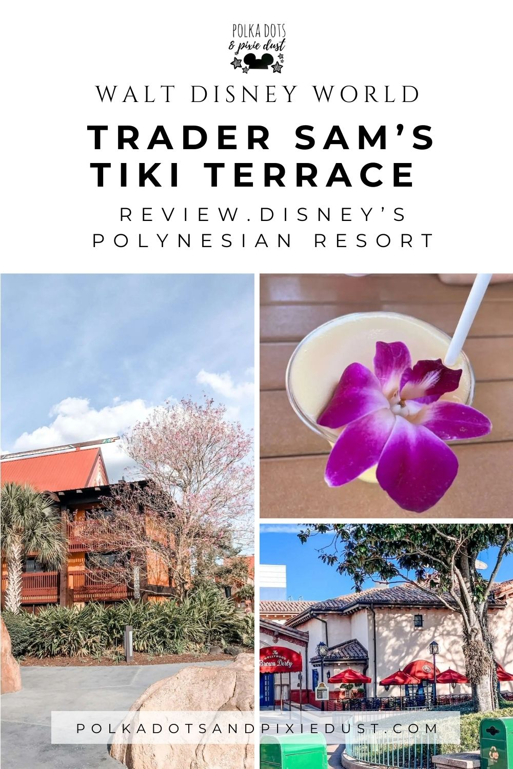 Thanksgiving at Walt Disney World- Restaurants, Events