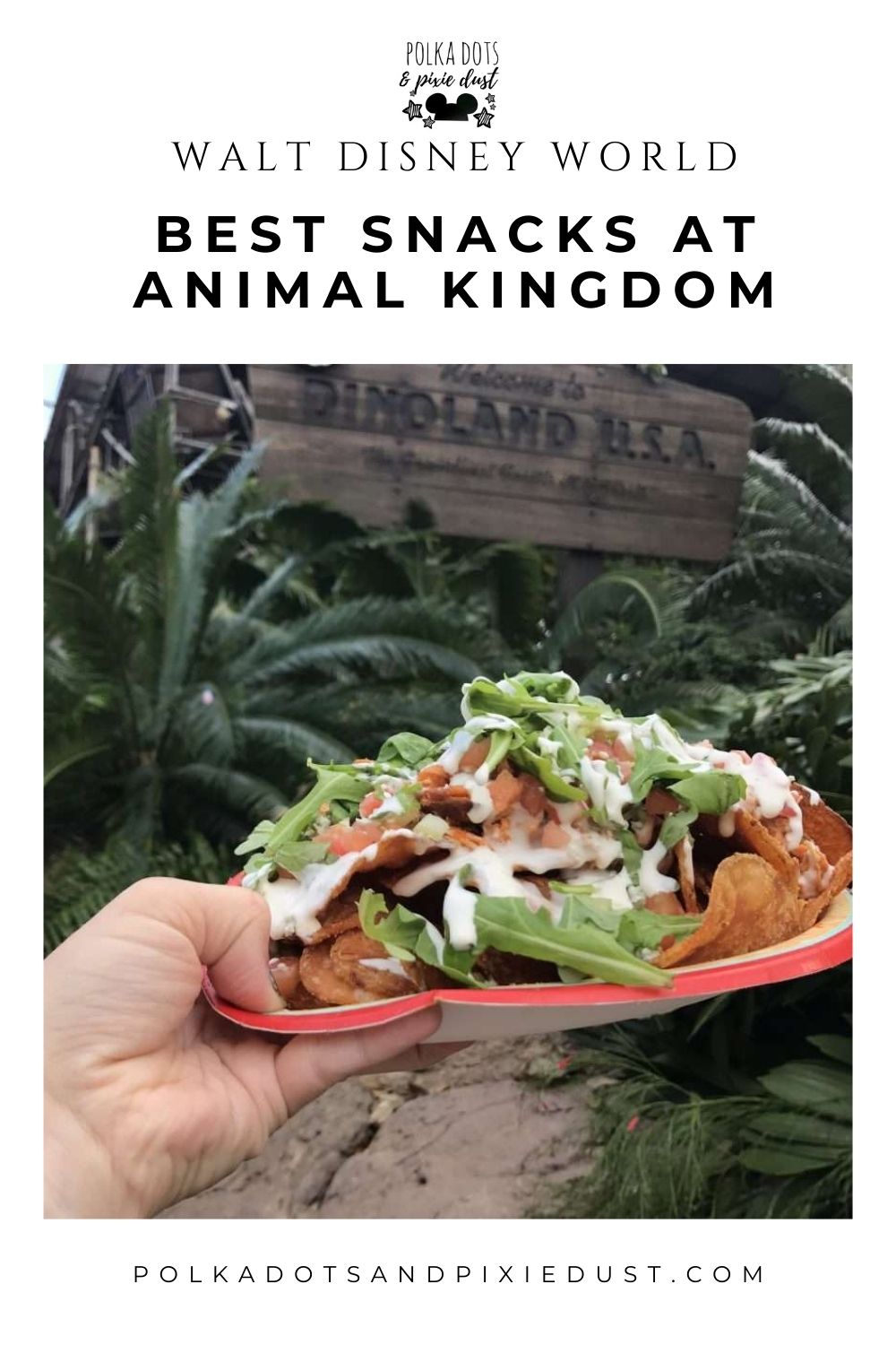 Best Snacks at Animal Kingom Park