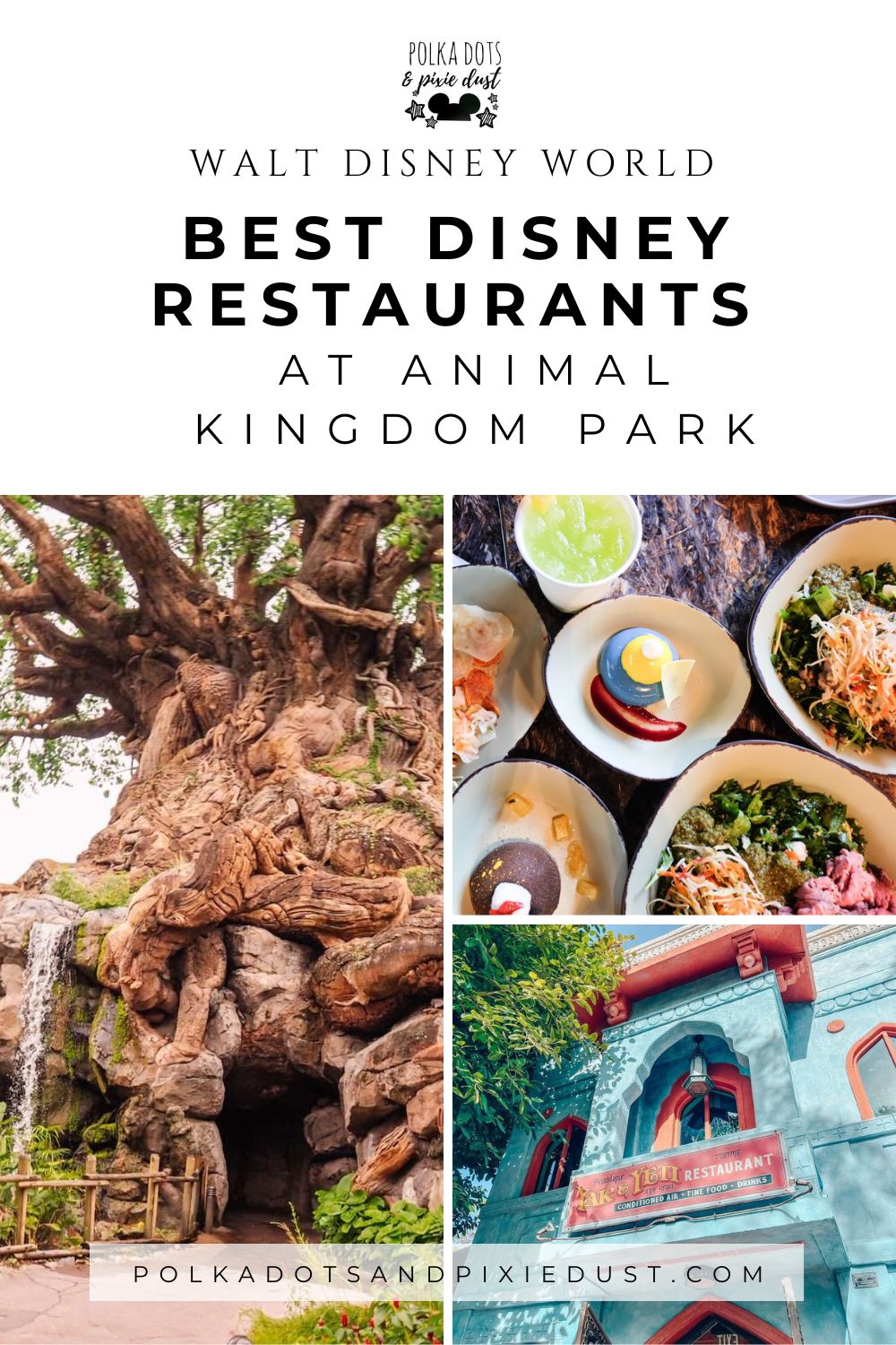 Best Animal Kingdom Restaurants