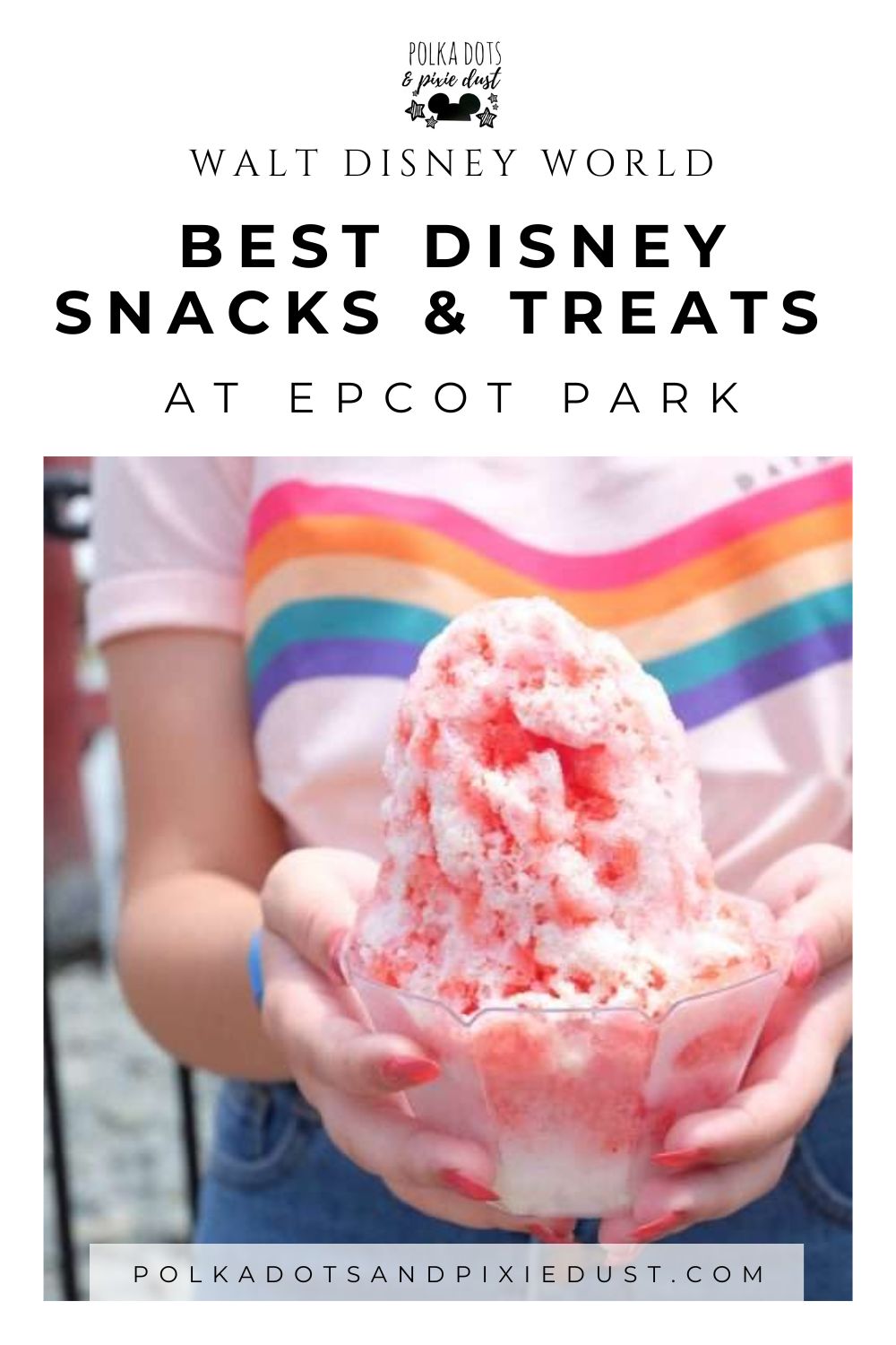 Disney Snacks at EPCOT Park