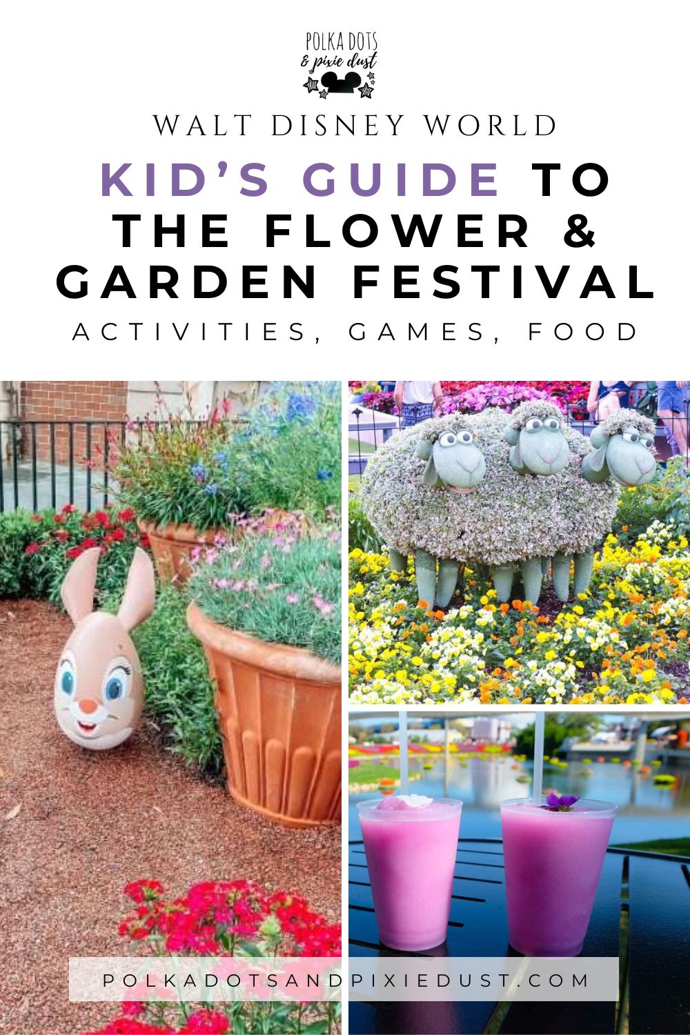 Kids Guide to Flower and Garden