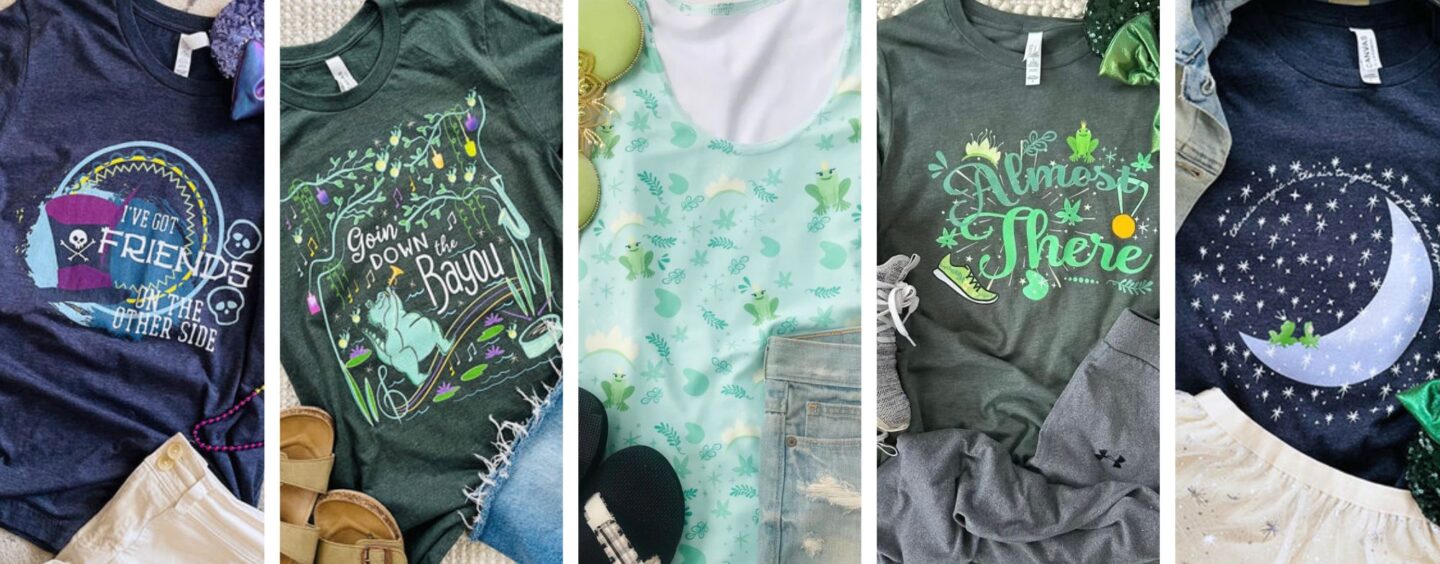 Disney Princess and the Forg Outfits