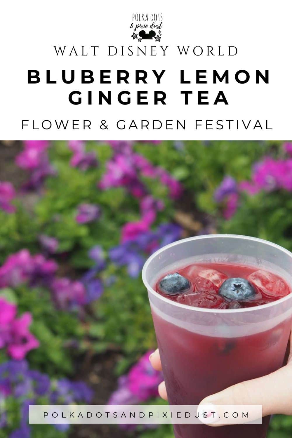 Blueberry Lemon Ginger Tea Recipe