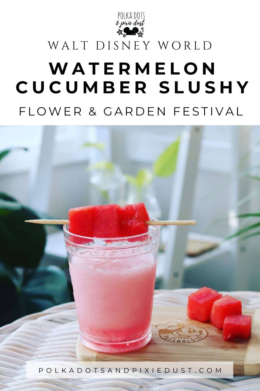 Watermelon Cucumber Slushy Disney Rcopycat recipe