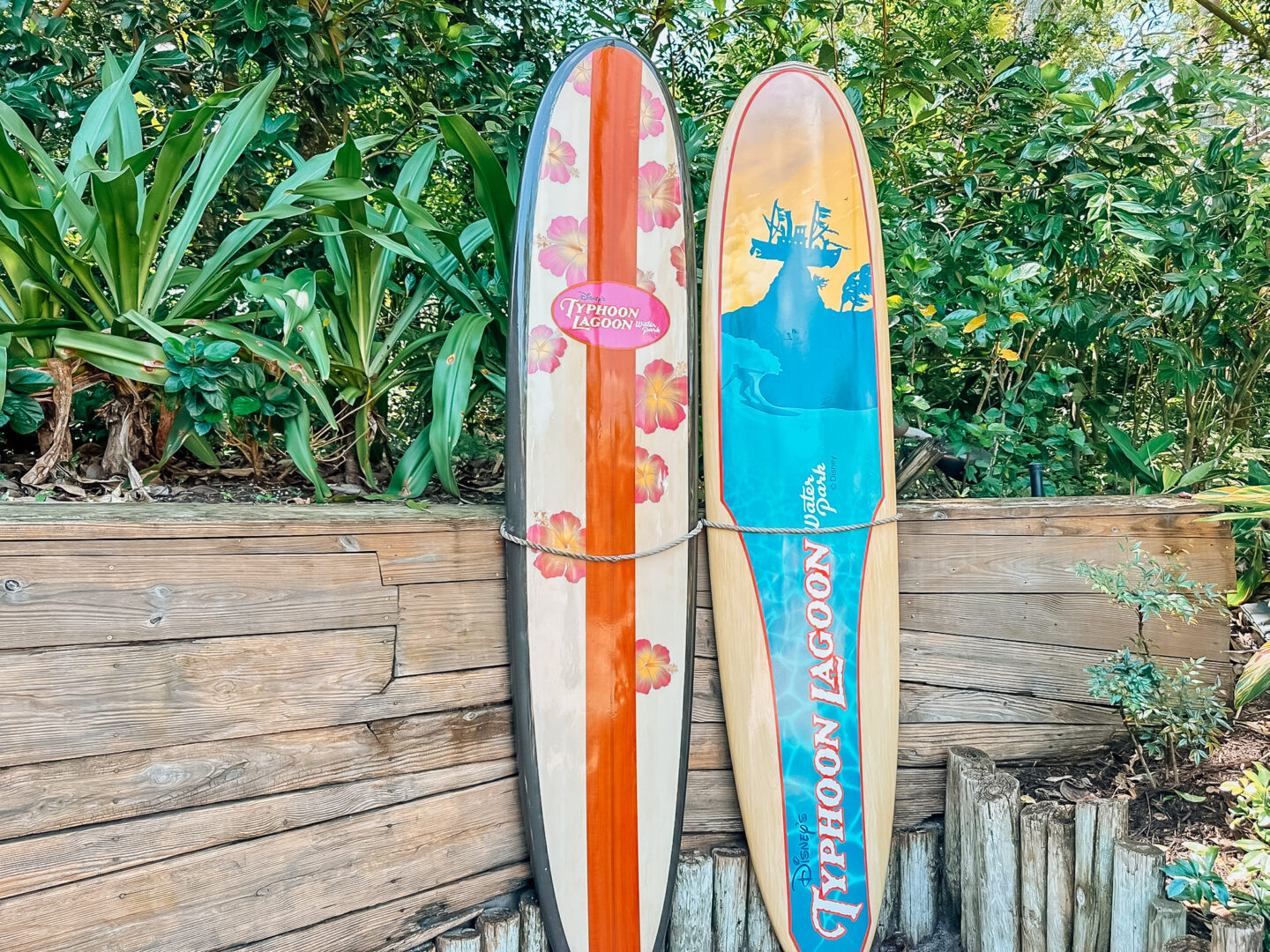 Typhoon Lagoon Summer at WDW